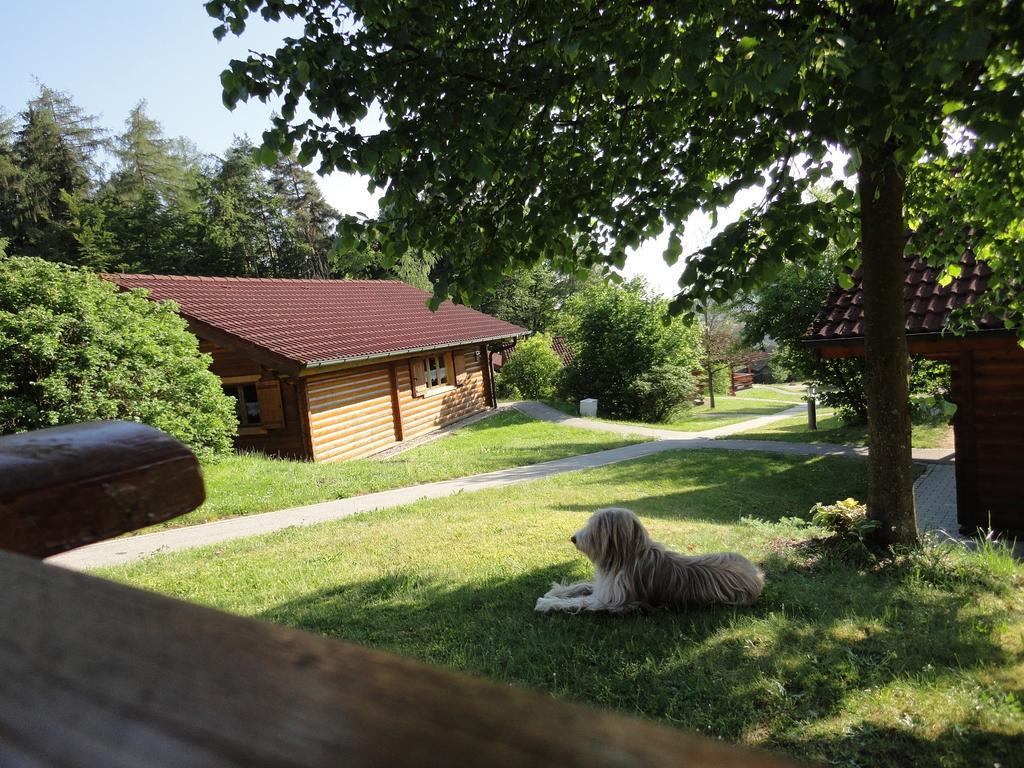 Villa Ferienhaus Weil Stamsried Zimmer foto